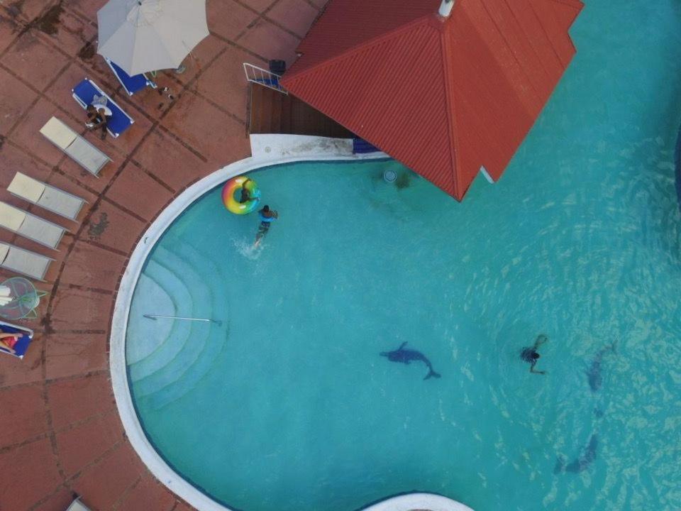 The View At Mystic Ridge Penthouse 78A Apartment โอโชรีโอส ภายนอก รูปภาพ